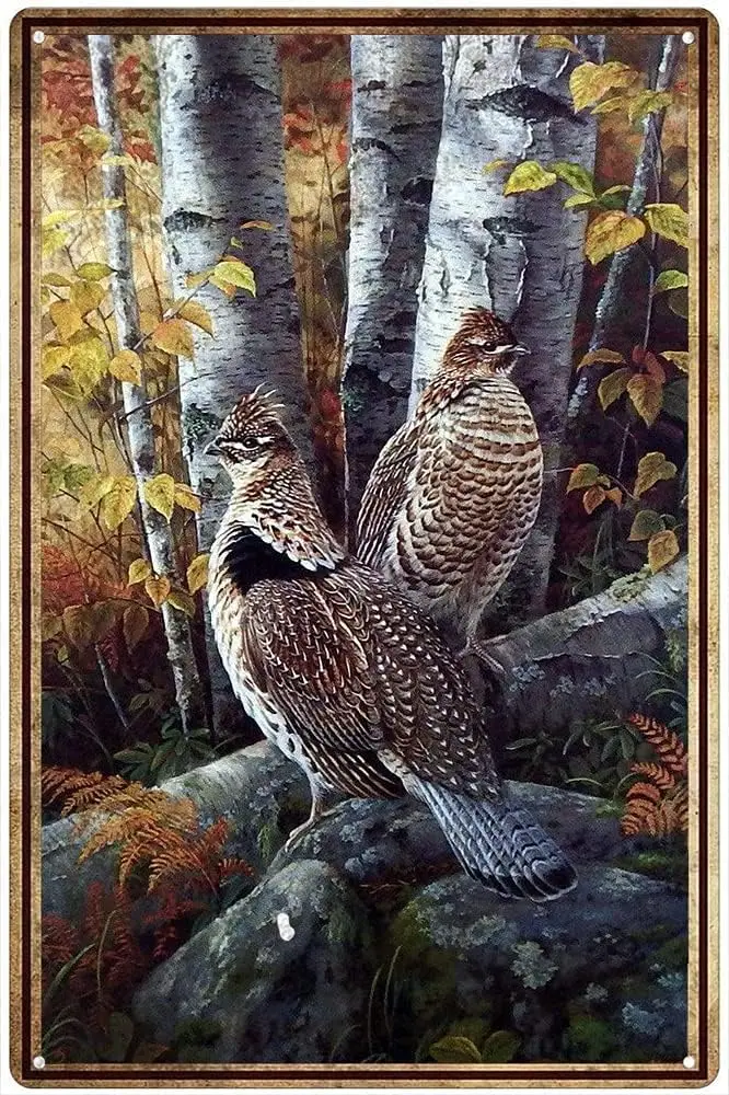 Vintage Metal Sign Grouse Ruff – Home Bathroom Sign recenzja i cena