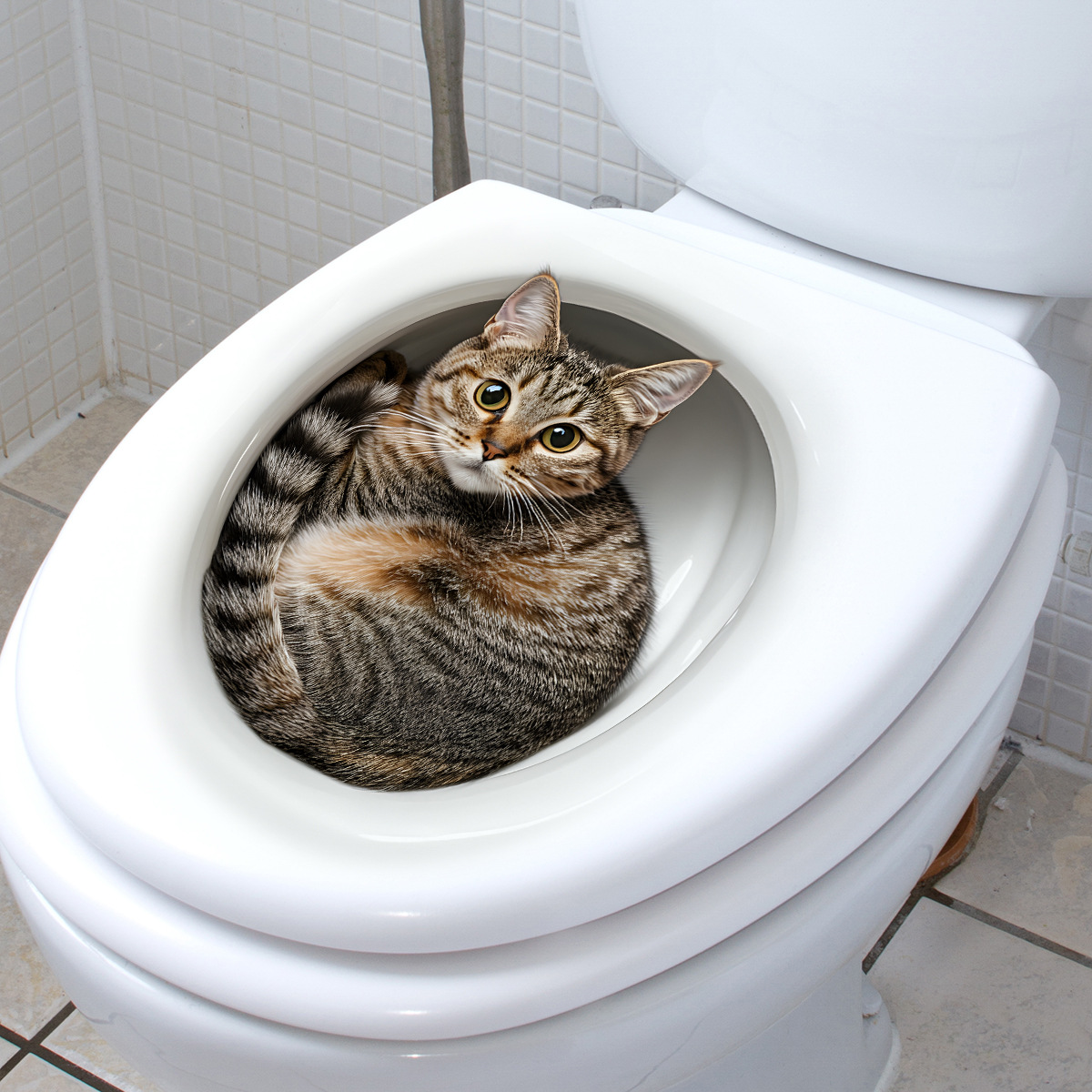 3D Funny Cat Toilet Sticker Ba – Home Bathroom Gadgets recenzja i cena